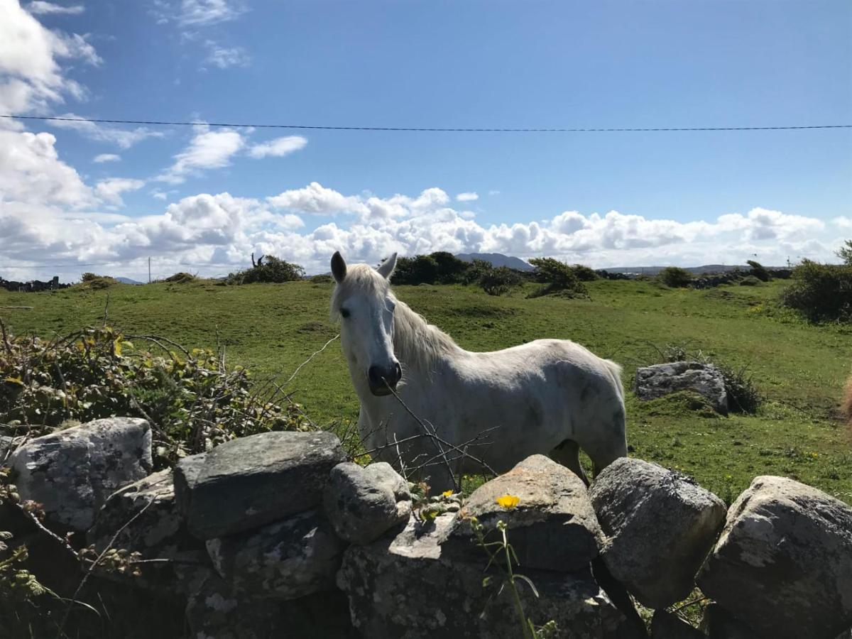 Kilronan Cottage Ballyconneely Eksteriør bilde
